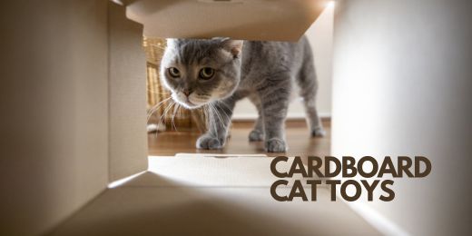 Cardboard Cat Toys: Simple Fun for Your Feline Friend