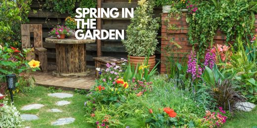 Spring in the Garden: Getting Ready for a New Season