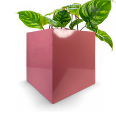 Cubitz Multi-Use Galvanised Steel Cube - Outdoor Planter, Indoor Storage & More! - Indoor Outdoors