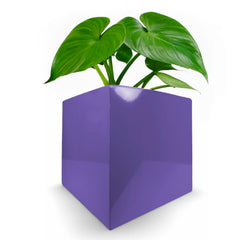 Cubitz Multi-Use Galvanised Steel Cube - Outdoor Planter, Indoor Storage & More! - Indoor Outdoors