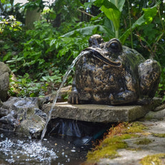 Fergus McArthur Bull Frog Bronze Effect Fountain Water Feature