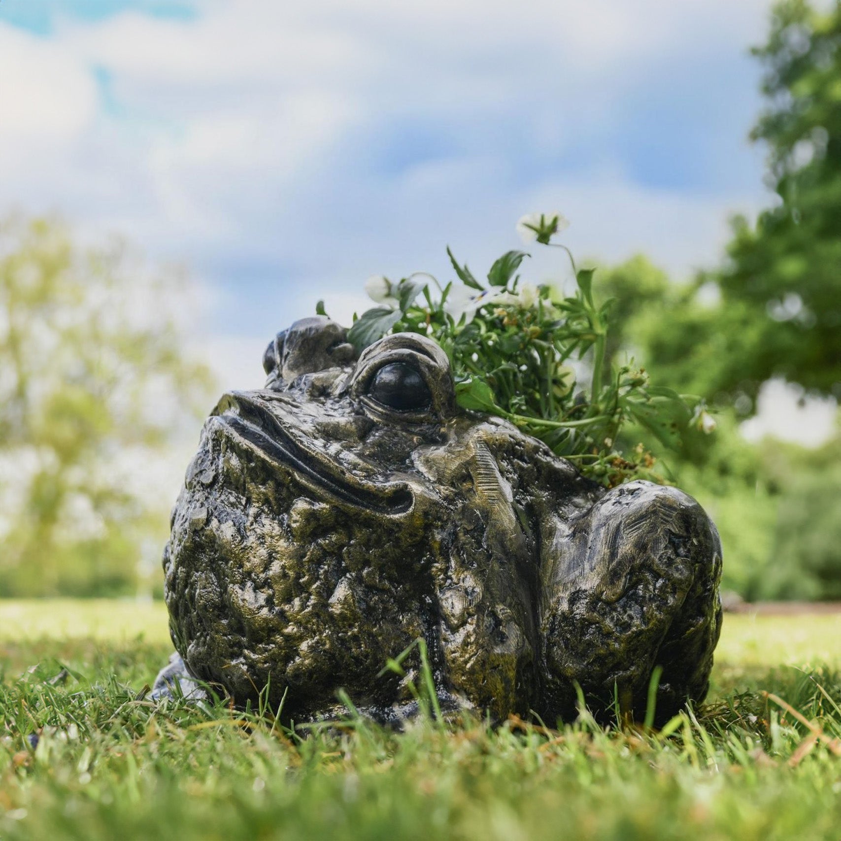 Fergus McArthur Bull Frog Bronze Effect Planter