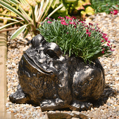 Fergus McArthur Bull Frog Bronze Effect Planter