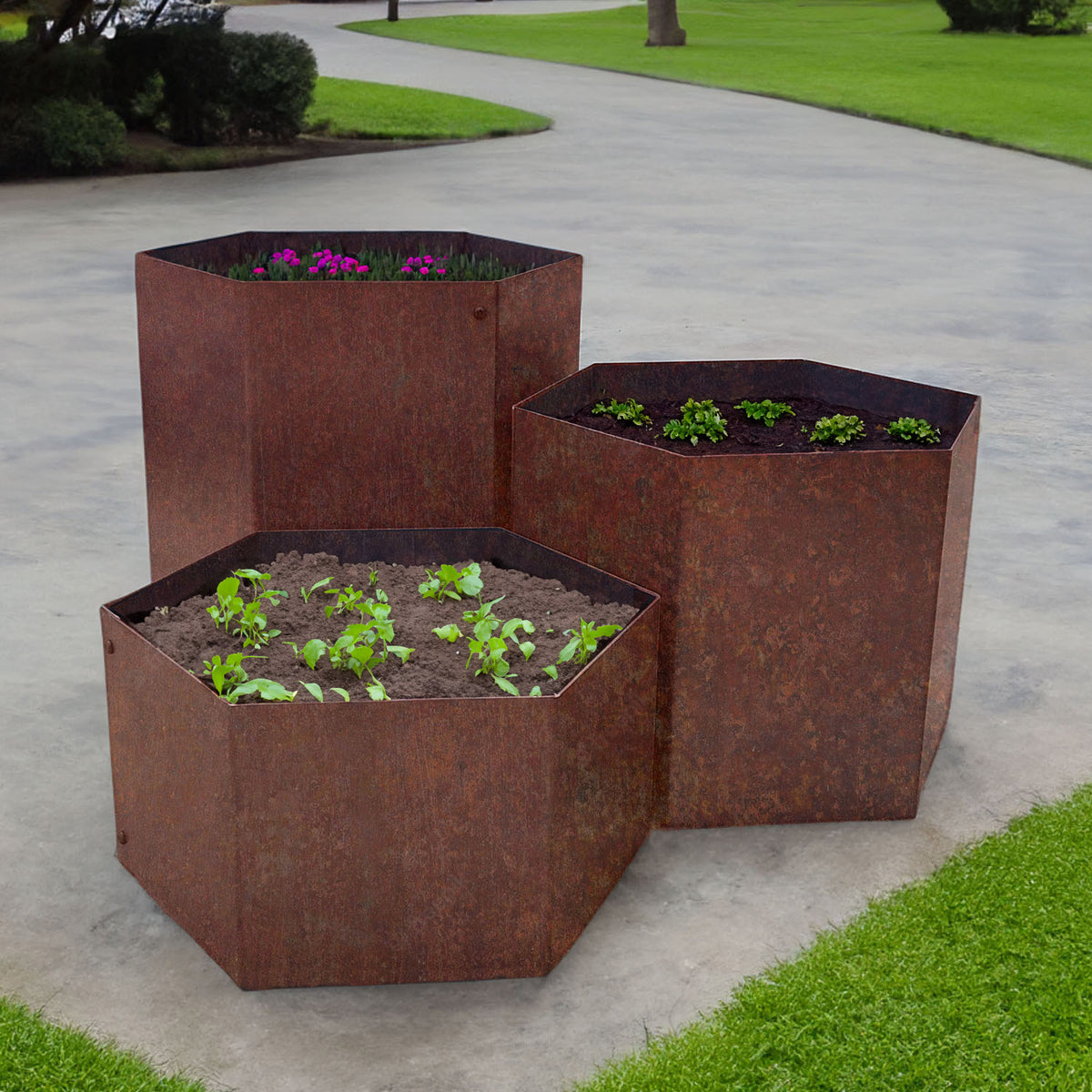 Bellamy Hexagon Shaped Rustic Steel Planter Trio Set