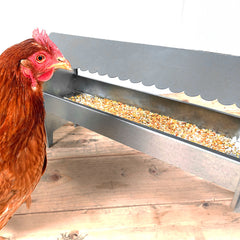 Medium Chicken & Poultry Galvanised Feeder With Roof - Indoor Outdoors