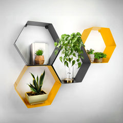 Okunaii Wall Mount Hexagonal Family of Shelves (Set of 4)