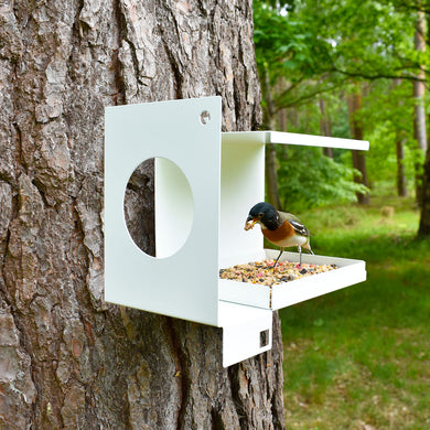 Jake's Farm Yard Modern Art Birdhouse and Bird Feeder - Indoor Outdoors