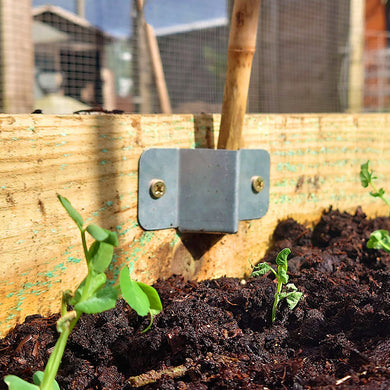 Bamboo Support Bracket Kit for Plant Support - Polytunnels and Greenhouses - Indoor Outdoors