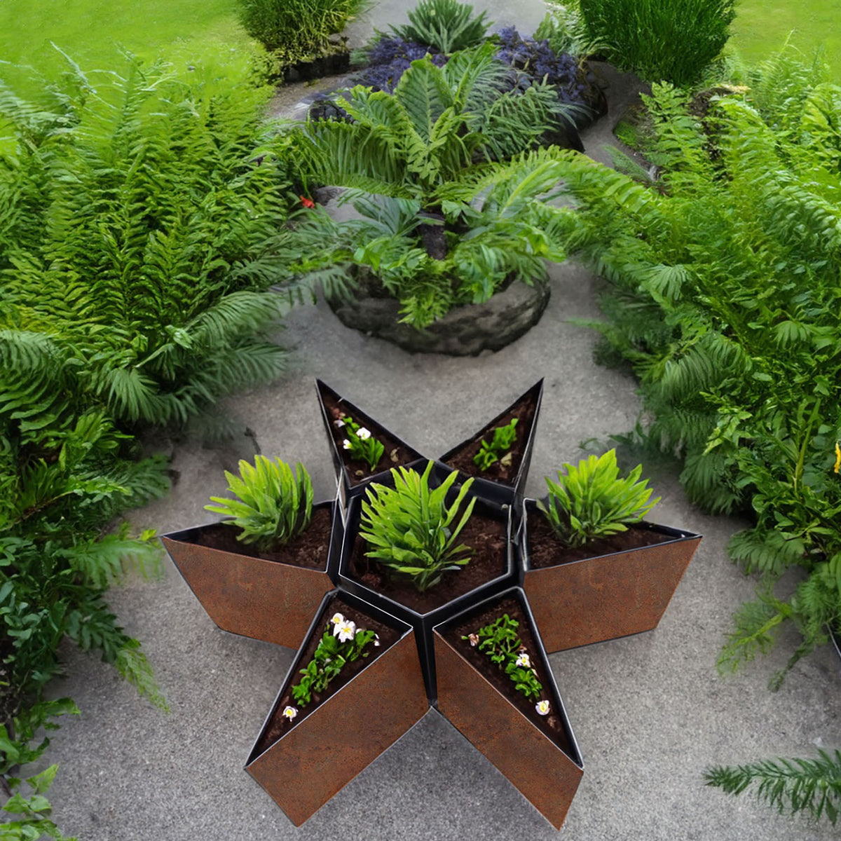 Bellamy Star Shaped Rustic Steel Planter - Indoor Outdoors