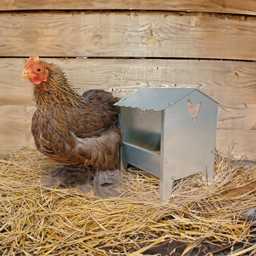 Chicken Feeder - Small Galvanised Feeder with Roof - Made in UK