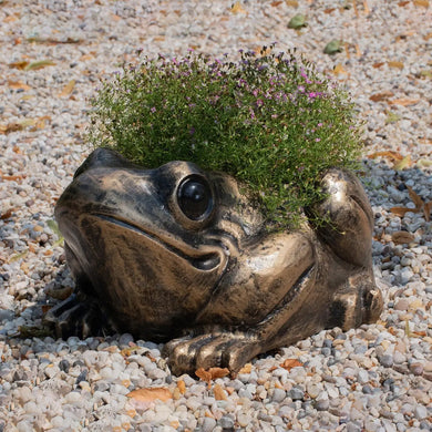 Fergus McArthur Toad Bronze Effect Planter