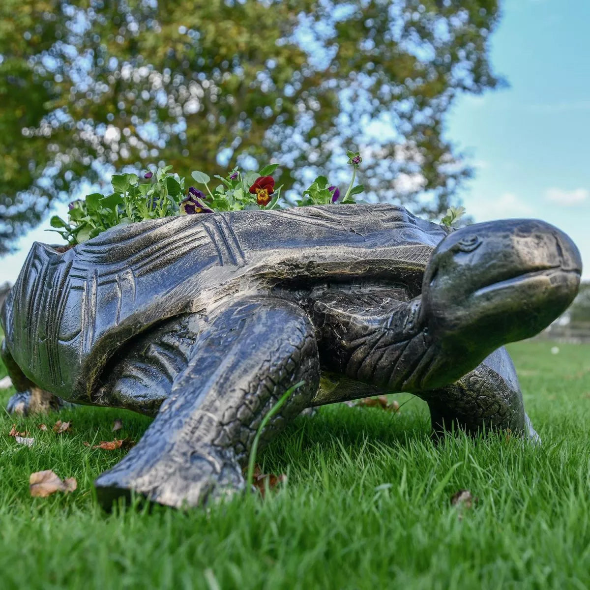 Fergus McArthur Large Tortoise Bronze Effect Planter