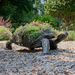 Fergus McArthur Large Tortoise Bronze Effect Planter