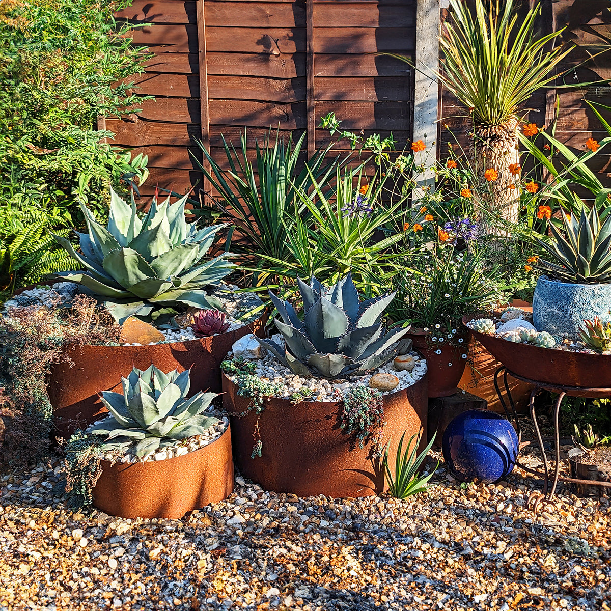 Bellamy Circular Rustic Steel Planters & Tree Rings - 15 Sizes to Choose From - Rusts Slowly Over Time