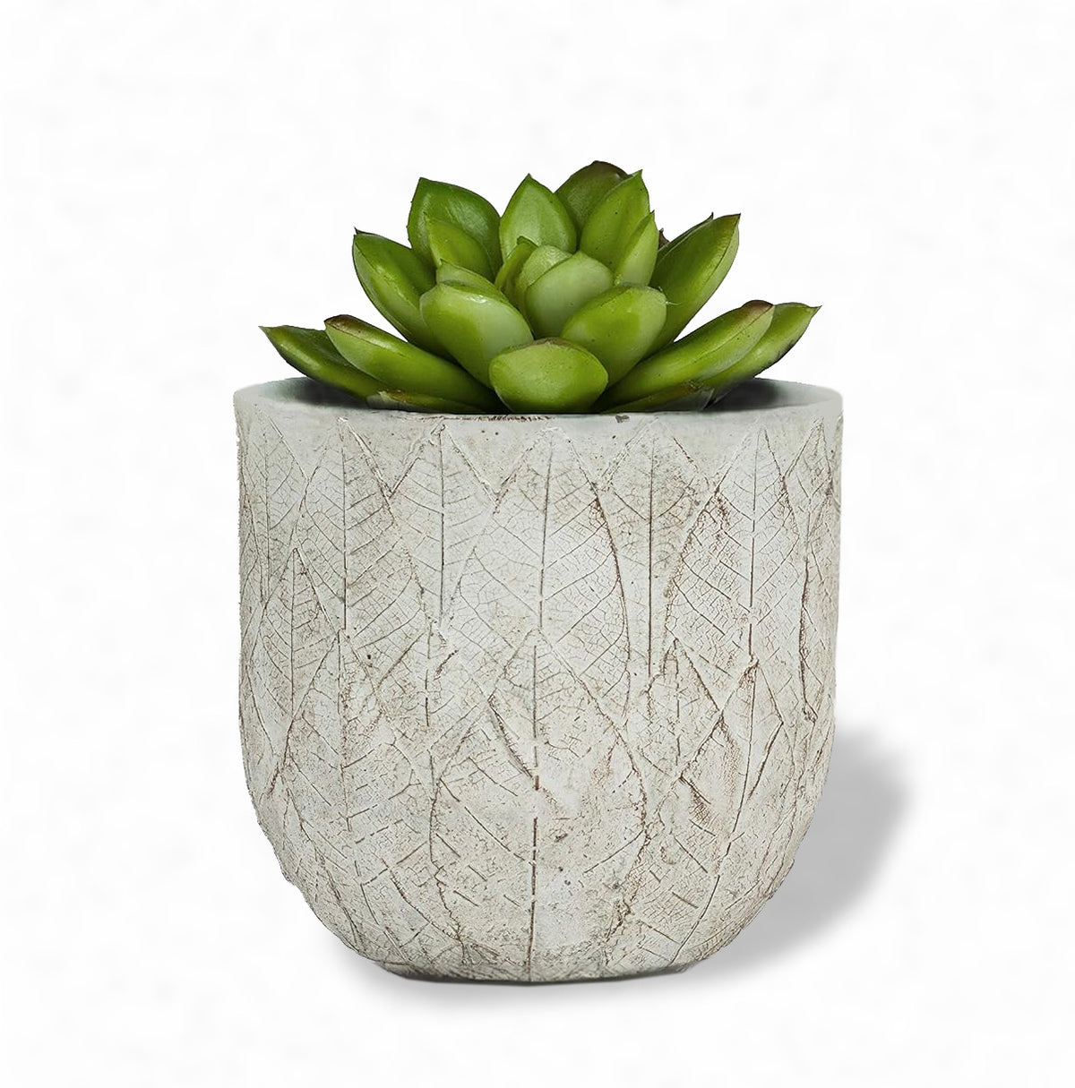 Woodland-Inspired Rustic Leaf Small Ceramic Plant Pot