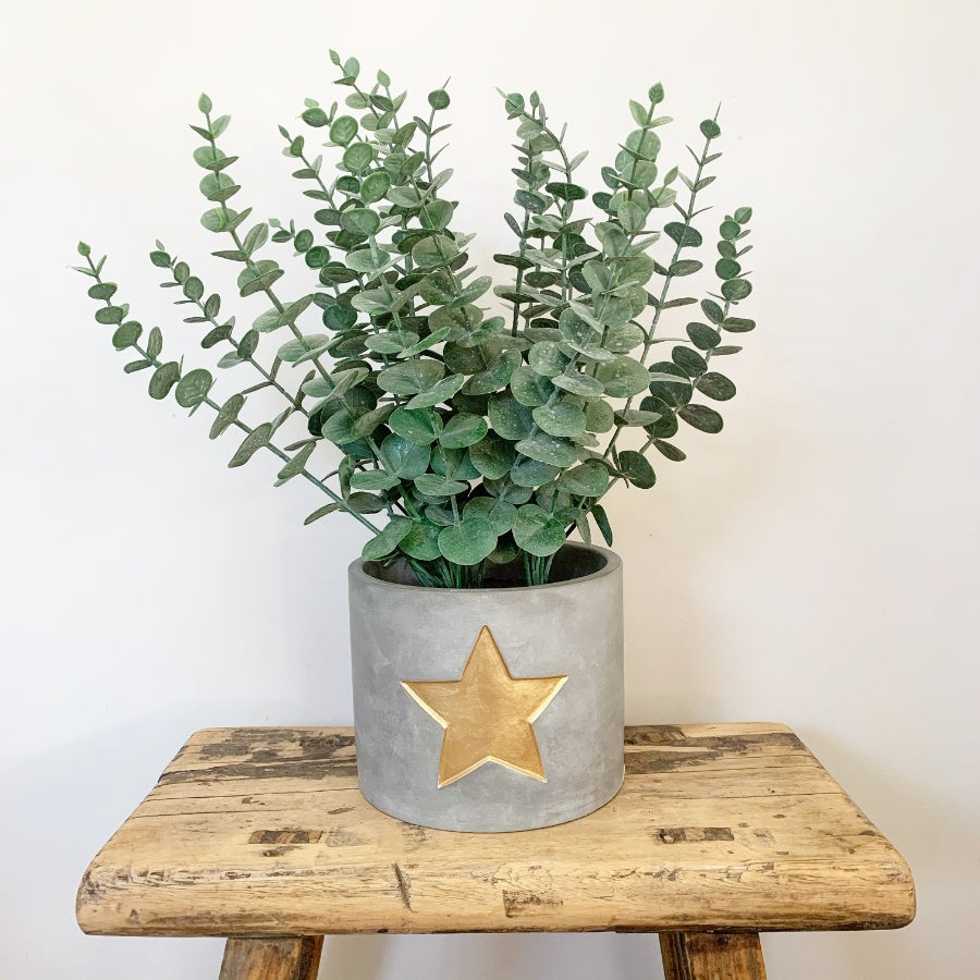 Indoor Plant Cement Planter With Star - Indoor Outdoors