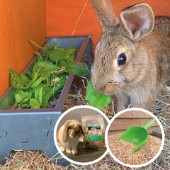 Jake's Farm Yard Pet Rabbit Starter Kit (3 Items Included) - Indoor Outdoors